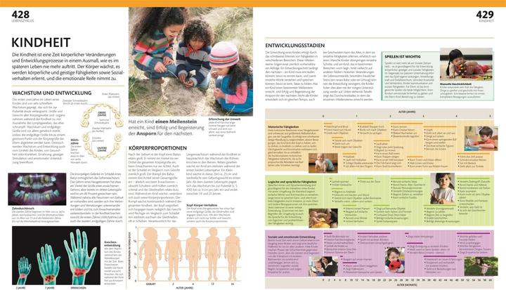 Produktbild Anatomie und Physiologie (Deutsch, Alice Roberts, Andreas Held, Simone Blass, Nikola Schmidt, 2023)