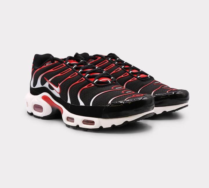 Actual product image Nike Air Max Plus (42)