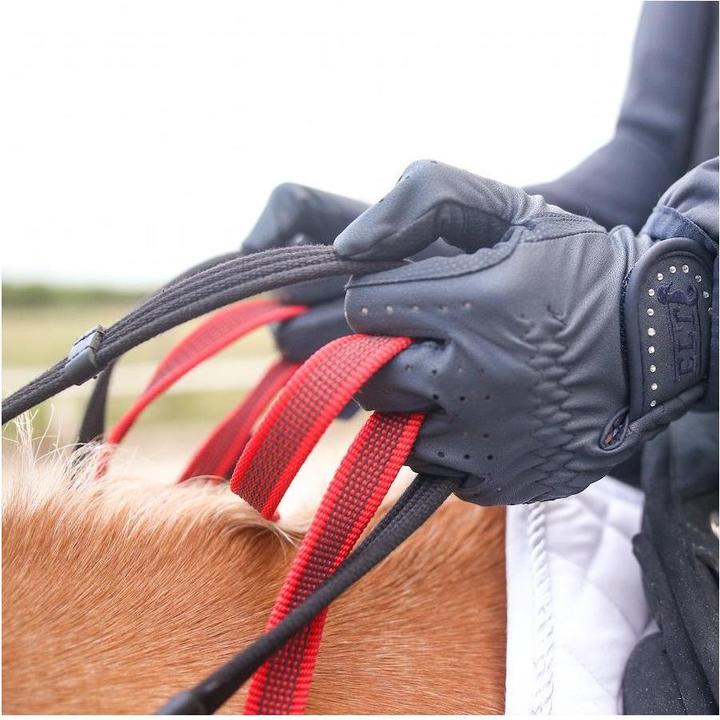 Image du produit Waldhausen Pré-harnais avec BOUCLE DE SÉCURITÉ SECUTRUST