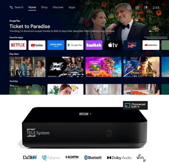 Actual product image Telesystem 21005356 (DVB-T, DVB-T2)