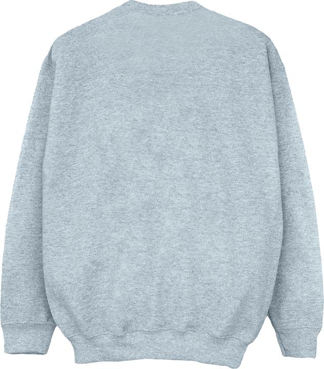 Produktbild Disney Winnie The Pooh Bears Just Wanna Have Sun Sweatshirt Mädchen (152, 158)