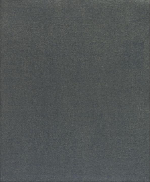 Immagine prodotto Bosch Professional Zubehör Foglio abrasivo C355, foglio abrasivo in carta, 230 x 280 mm, 400 (400)