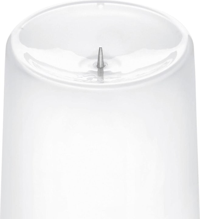 Actual product image WMF Stelio Egg Boiler (EU plug)