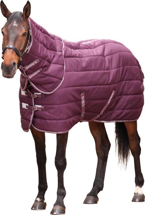 Immagine prodotto Tempest Original Collo Combo Tappeto da Stalla per Cavalli e Collo (175 cm)