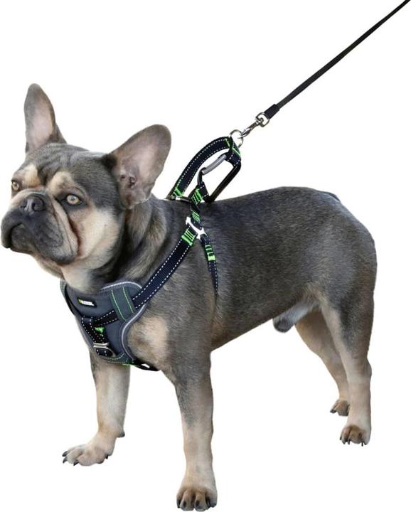 Produktbild Kerbl Autosicherheitsgeschirr (Hund, Faltbar, Sicherheitsverschluss)