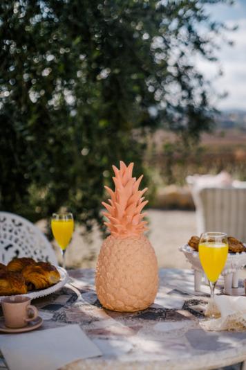 Image du produit Smart and Green Lampe Pinacolada