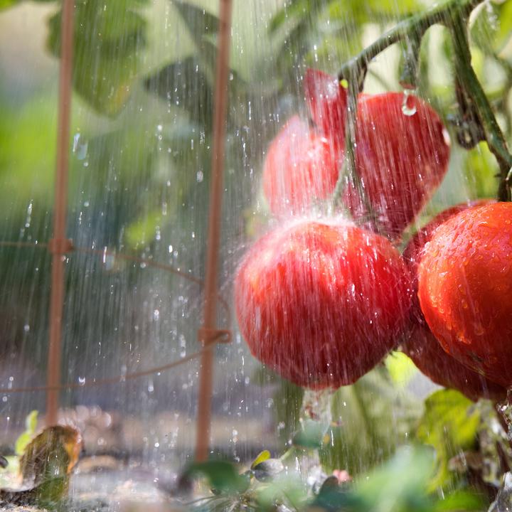 Immagine prodotto Relaxdays 2x aiuto per l'arrampicata (28 cm, 28 cm)