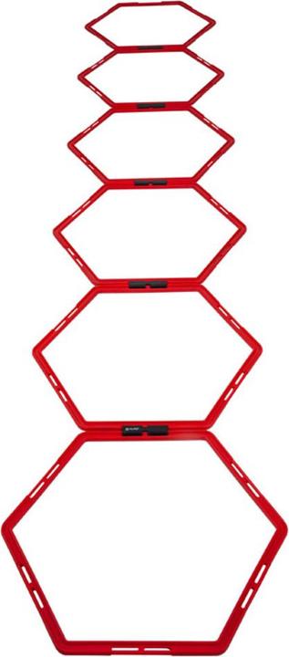 Actual product image Pure Hexagon training grid