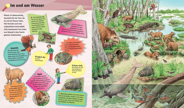 Produktbild Mein Taschenlampenbuch Wilde Tiere (Deutsch, 2024)