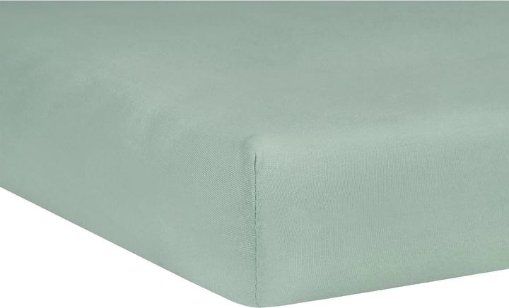 Immagine prodotto Julius Zöllner Lenzuolo fisso Jersey Salvia 90 x 40 cm (90 x 40 cm)