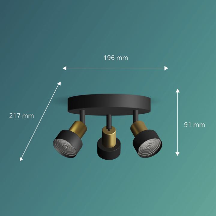 Produktbild Philips Conduit (GU10)