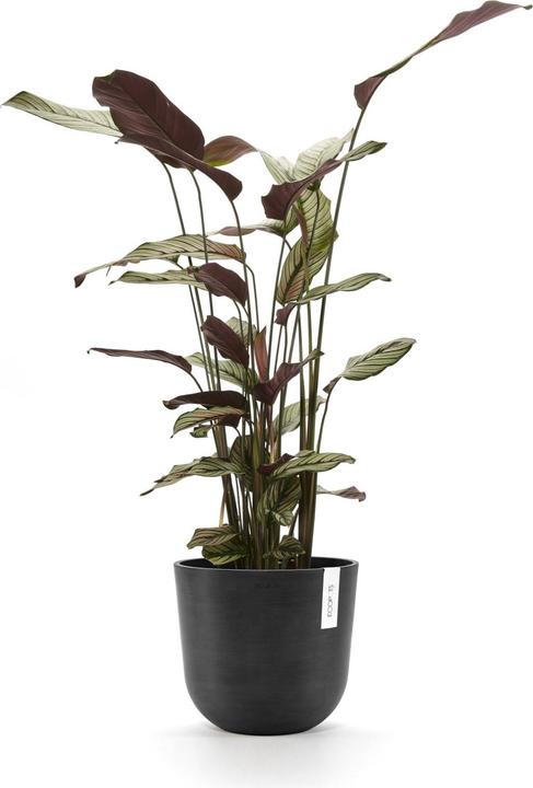 Produktbild Ecopots Oslo (25 cm)
