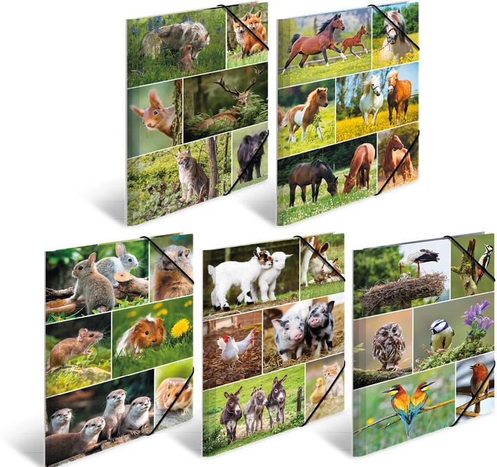Produktbild HERMA Sammelmappe A4 Motiv (A4, 10x)