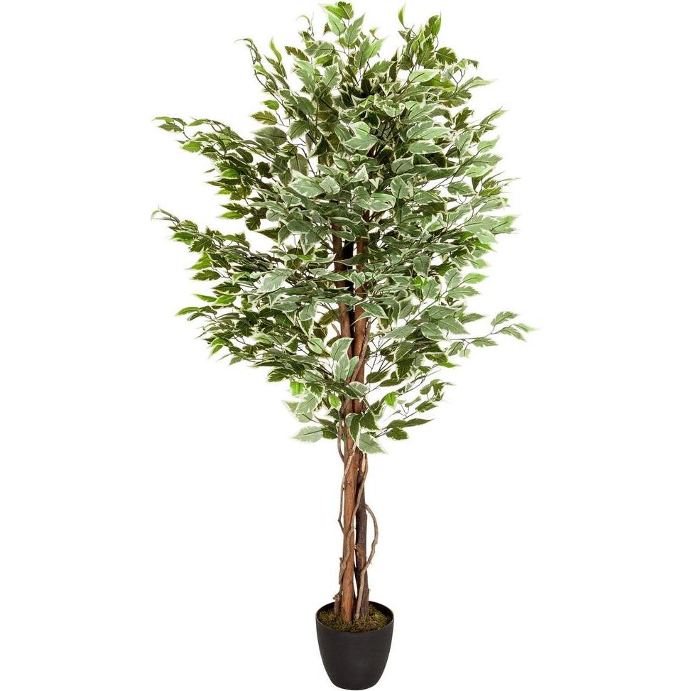 Hjh Office, Kunstpflanzen, Ficus (165 cm)