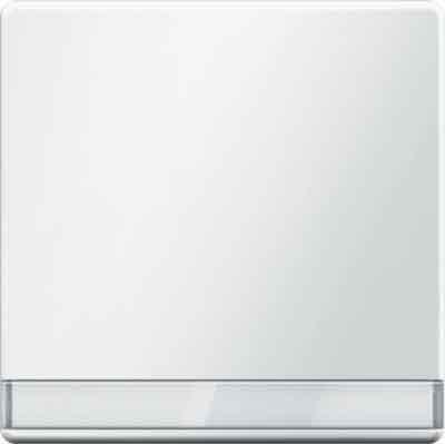 Actual product image Berker Q1 Rocker change with 16266089 Legend field polar white velvet