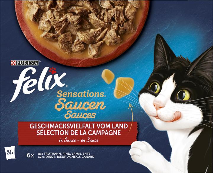Produktbild Felix Sensations (Adult, 24 Stk., 2040 g)