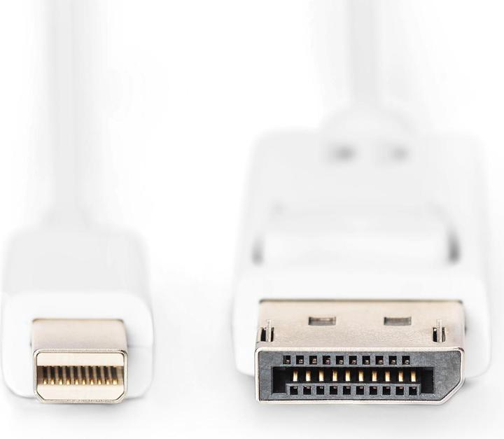 Image du produit Digitus DisplayPort — Mini DisplayPort (1 m, DisplayPort, 1.1)