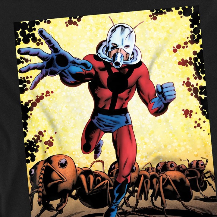Actual product image Ant-Man and the Wasp: Quantumania Unisex Adult Crackle T-Shirt (L)