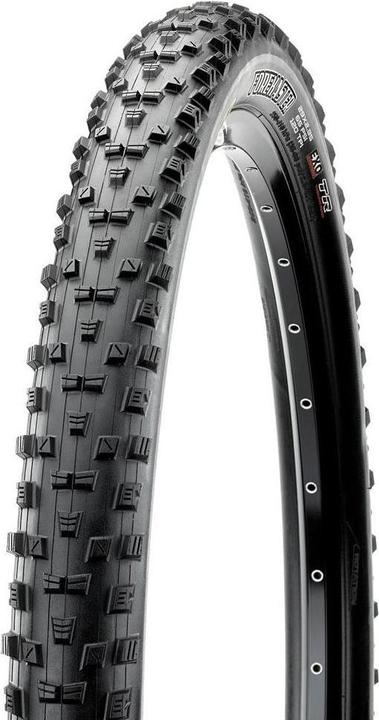 Maxxis Forekaster TR EXO 120TPI Dual buy at Galaxus