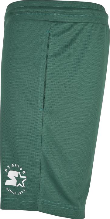 Image du produit Starter Team Mesh Shorts (M)