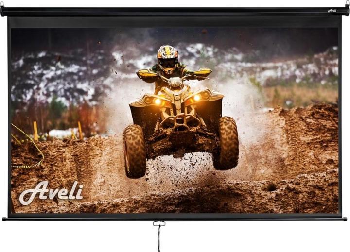 Aveli Nástěnné projekční plátno, 265x149cm (16:9) 120", černý tubus (À monter)