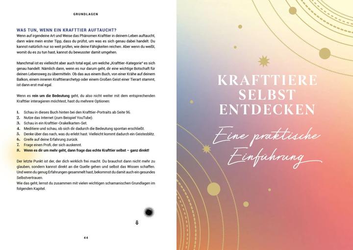 Produktbild Praxisbuch Schamanische Krafttiere – Entdecke deine Seelenbegleiter (Deutsch, Benjamin Maier, 2022)