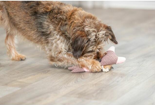 Image du produit Trixie Jouet pour chien Lapin, tissu/peluche, 24 cm (Jouet en peluche chien)