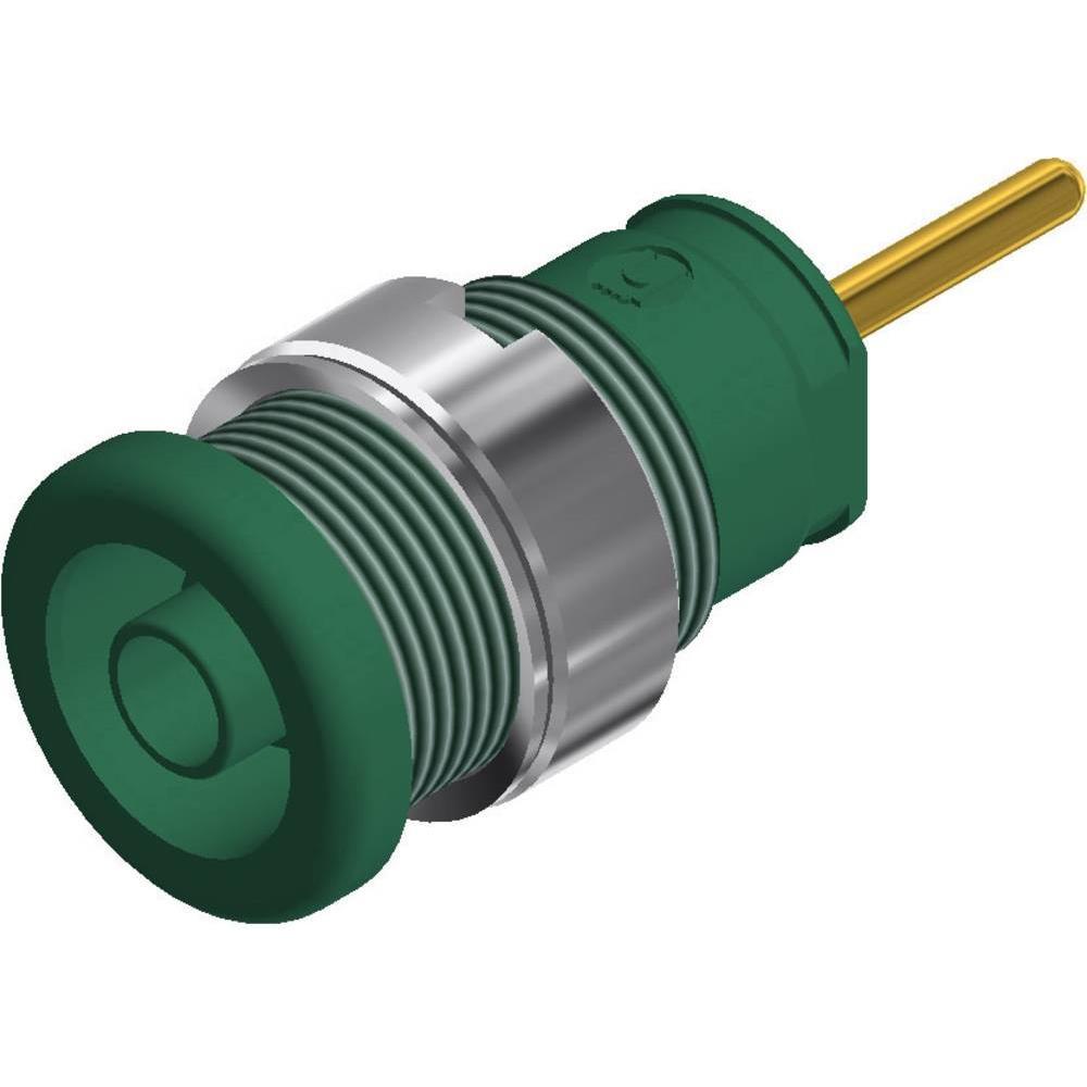 SKS Sicherheits-Laborbuchse Buchse, Elektronikkabel + Stecker, Grün