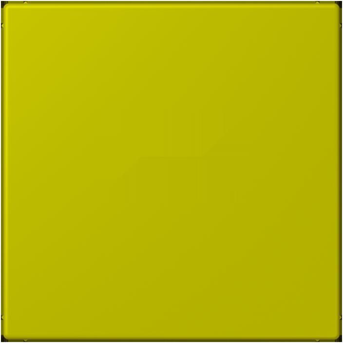 Actual product image JUNG Cover