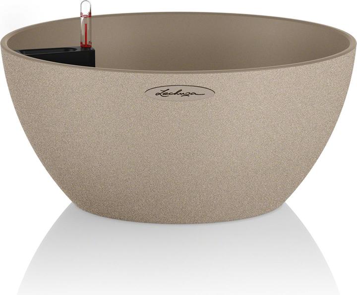 Lechuza Cubeto Color (30 cm)