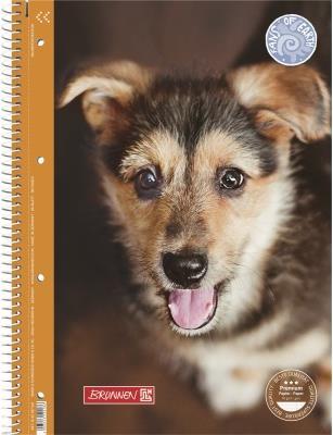 Image du produit CHIEN - Bloc-notes (A4, À rayures)