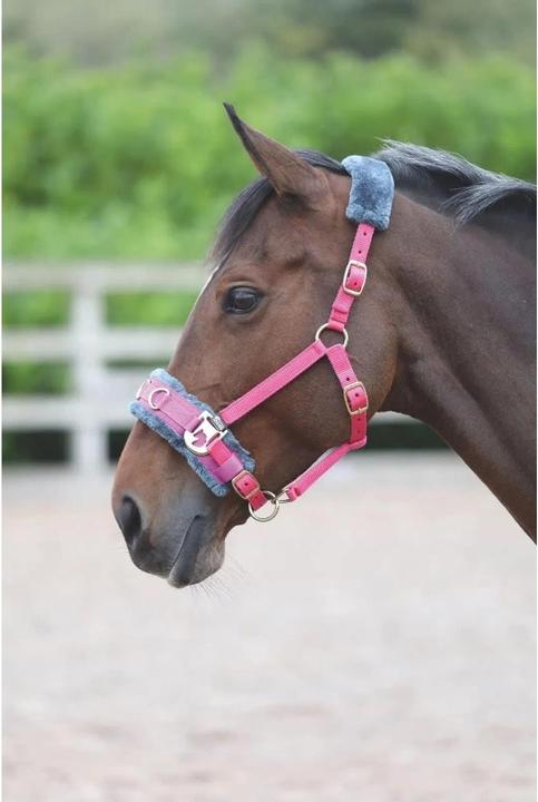 Shires Kappzaum Mit Vlies gefüttert