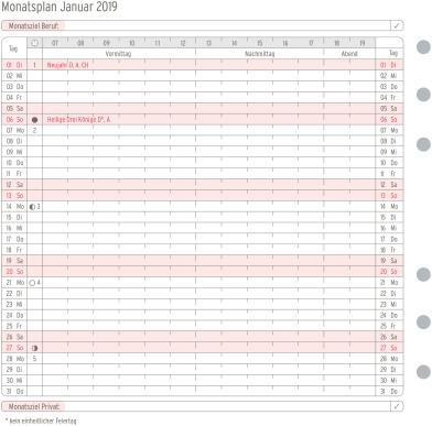 Produktbild Chronoplan Monatsplan 2019 (Spezial, Deutsch)