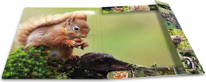 Produktbild HERMA Sammelmappe A3 Motiv (A3, 1x)