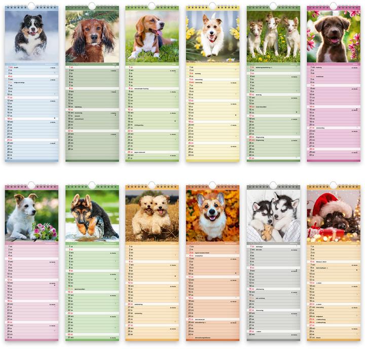 Produktbild Trtsch Streifenkalender Hunde 2026 Notizkalender (Harter Einband, Deutsch)