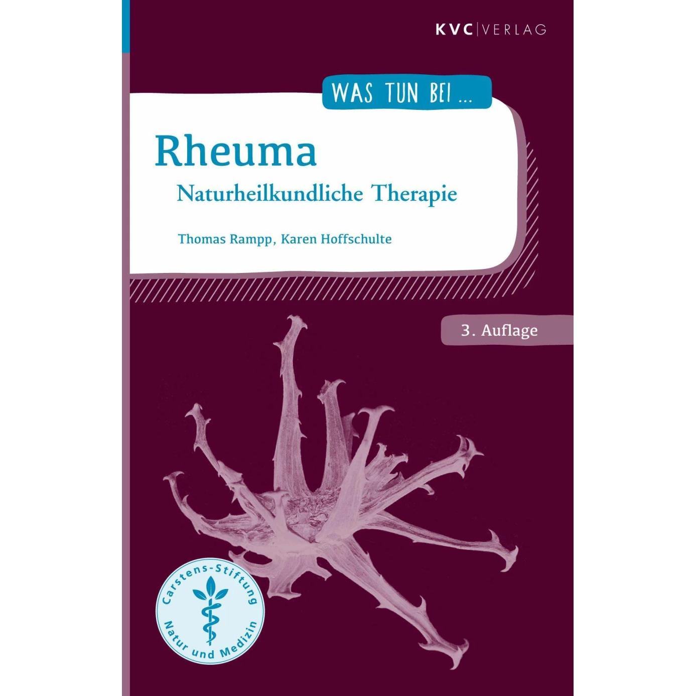 Rheuma, Ratgeber von Thomas Rampp, Karen Hoffschulte