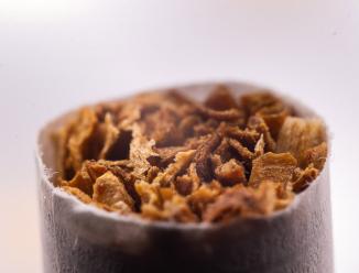 Image du produit Laowa 50mm f/ 2.8 2X Apo MFT (Micro Four Thirds, Micro Four Thirds)