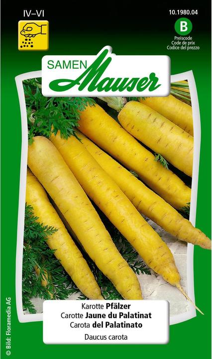 Légumes