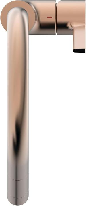 Actual product image Ideal Standard Gusto Ausld.241mm 2F showerhead