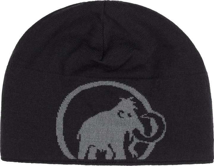 Actual product image Mammut Logo Beanie (One size)
