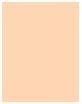 Image du produit Dior Forever No Transfer 24H Foundation (2WP Pêche chaude)