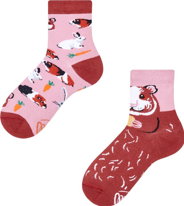 Actual product image Many Mornings Miss Guinea Pig (Single pack, 31 - 34)