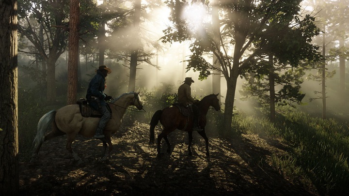 Actual product image 2K Games Red Dead Redemption 2 (PS4, FR)