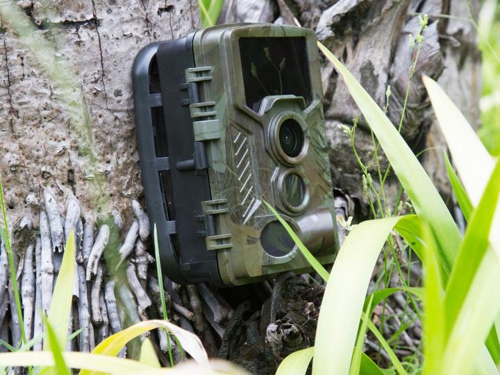 Actual product image Technaxx 4817 3D printing material Polylactic acid (PLA) Gold