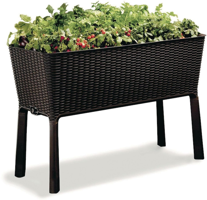 Produktbild Keter Easy Growing