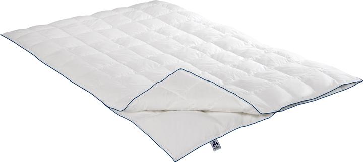 Actual product image Irisette 4-Jahreszeiten-Daunendecke Luna (155 x 200 cm, Down)