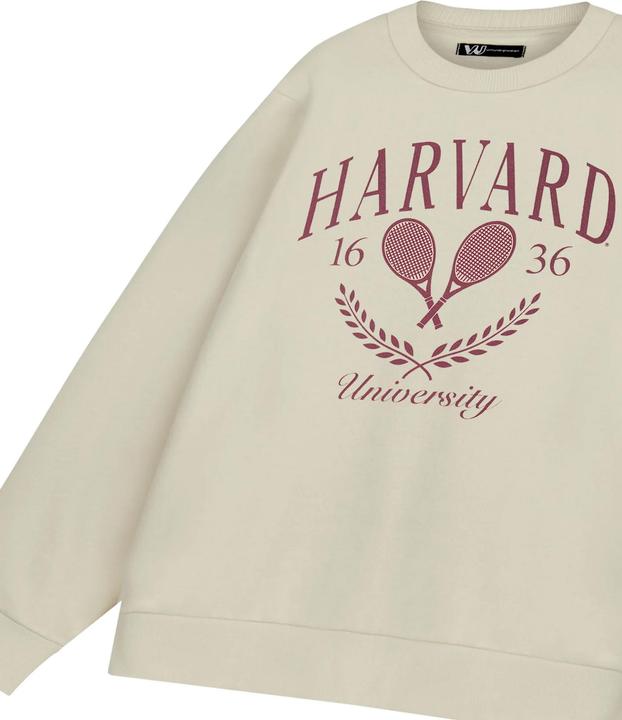 Produktbild Sweatshirt (L)