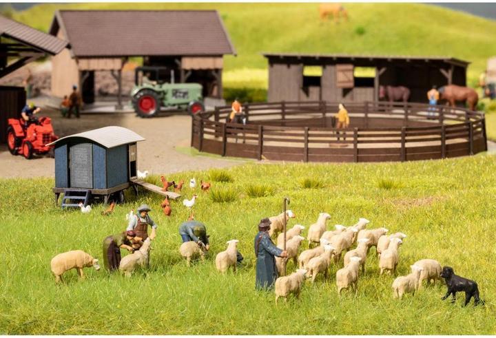 Actual product image Noch Shearing sheep