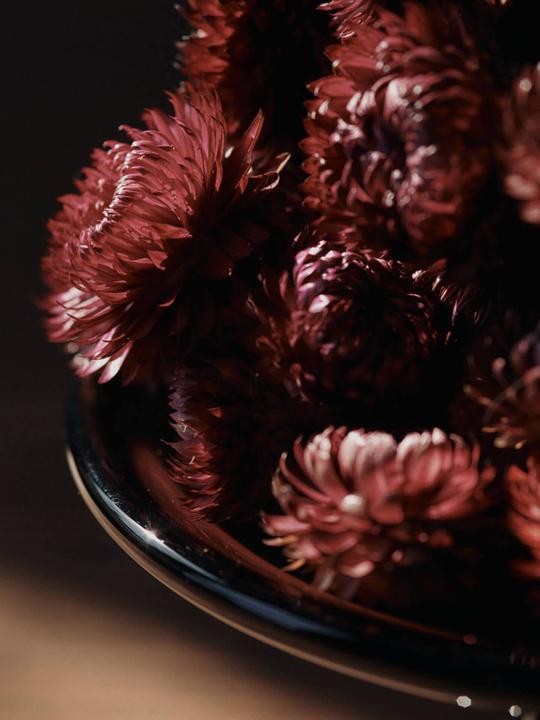 Produktbild Ferm Living Damo Glass Centrepiece - Ø21 - Dark Grape