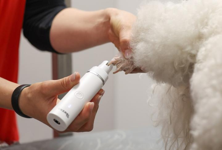 Image du produit Kerbl Tondeuse multi-fonctions sans fil Pet 4in1 (Chat, Chien, Petit animal)